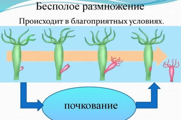 Ссылка кракен зеркало рабочее