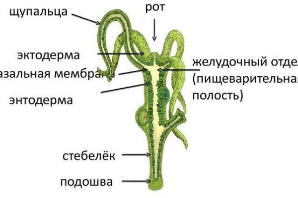 Kraken ссылка правильная kramp.cc